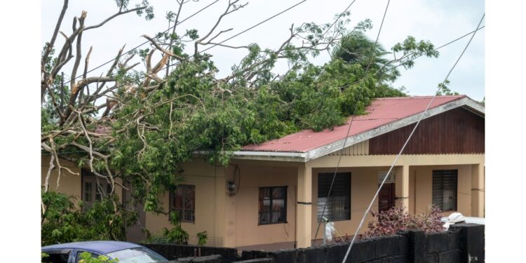 CARICOM leaders to convene meeting on Hurricane Beryl response