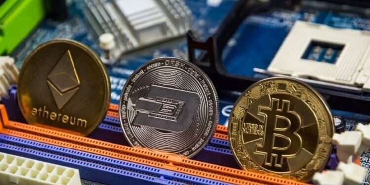 Cripto. Foto: Europa Press.