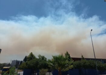 Climate Change Is Fueling  Wildfires Across South America