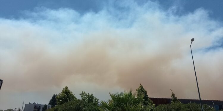 Climate Change Is Fueling Wildfires Across South America