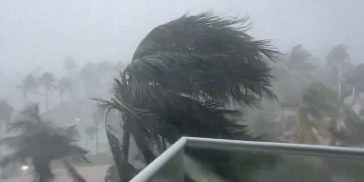 Co-ops and credit unions support Hurricane Beryl recovery efforts