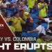 Darwin Núñez, Uruguay players fight with Colombian fans in the stands