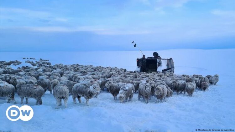 Extreme cold in Argentina’s Patagonia region – DW – 07/22/2024