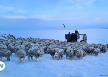 Extreme cold in Argentina’s Patagonia region – DW – 07/22/2024