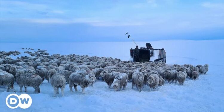 Extreme cold in Argentina’s Patagonia region – DW – 07/22/2024