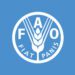 FAO urges immediate action as new variants of avian influenza threaten Asia and the Pacific