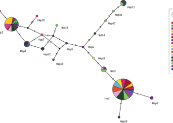 Genetic variability of Aedes aegypti (Diptera: Culicidae) in El Salvador and Honduras: presence of a widespread haplotype and implications for mosquito control | Parasites & Vectors