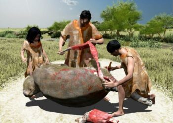 3D rendering of a prehistoric butchery event featuring three early humans processing a large animal carcass in a grassy landscape
