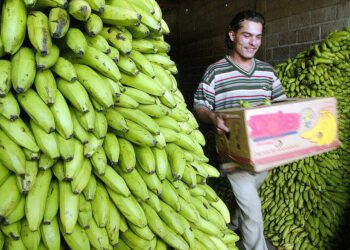 Honduras Food: 5 Must-Try Cuisines in This Central American Country : Culture : Latin Post