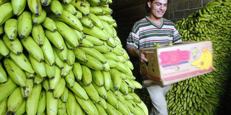 Honduras Food: 5 Must-Try Cuisines in This Central American Country : Culture : Latin Post