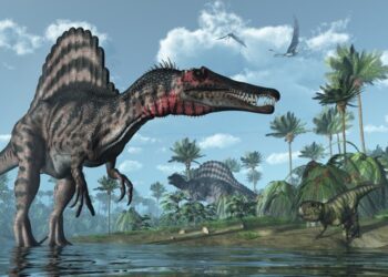 How the extinction of the dinosaurs led to grape evolution in South America