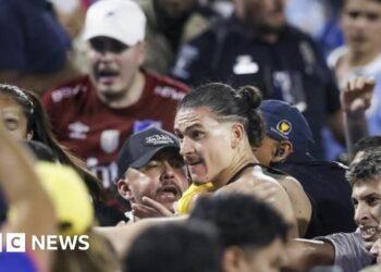 Liverpool's Darwin Núñez in clash with fans after Uruguay match
