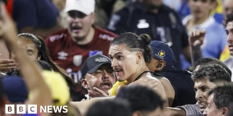 Liverpool's Darwin Núñez in clash with fans after Uruguay match