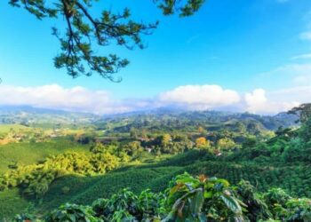 More International Travelers Visited Colombia