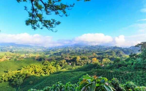 More International Travelers Visited Colombia