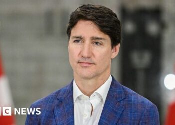 Nato allies pressure Canada to step up spending at Washington summit