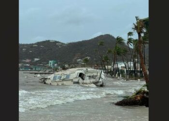 OECS Director General Saddened At Hurricane Beryl's Devastation