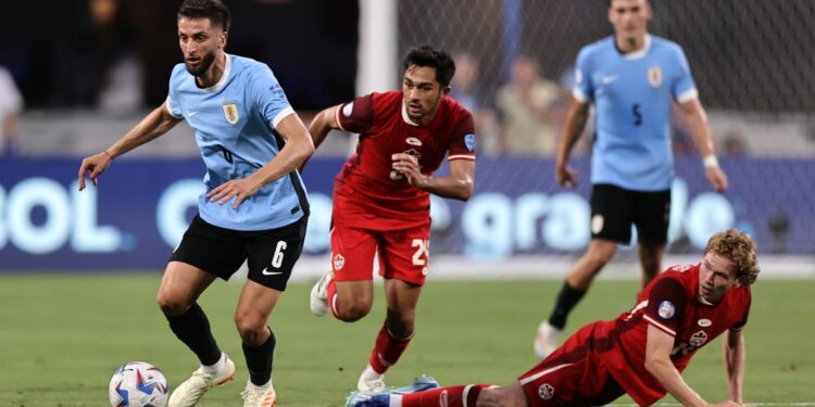 Player ratings on the night for Jesse Marsch's men