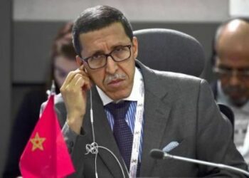 Polisario responds to Omar Hilale's Committee of 24 remarks on Sahara