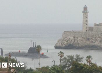 Russian military fleet arrives in Havana, Cuba