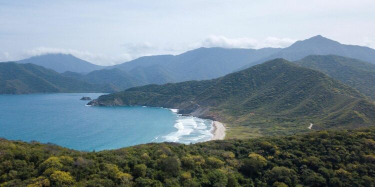 Shores, Coffee & Rainforests - Your Perfect 10 days Colombia Itinerary 2024