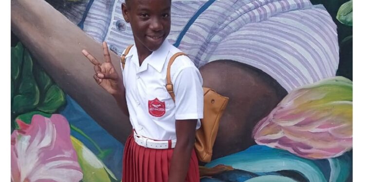 St Vincent: Girl, 13, reported missing