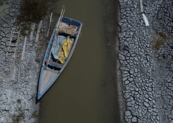 Study offers conflicting theory as to trigger of exceptional South American drought