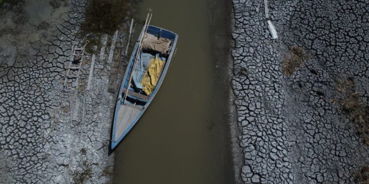 Study offers conflicting theory as to trigger of exceptional South American drought