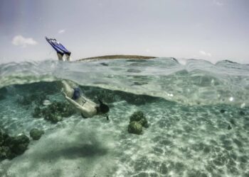 The Best Places to Go Snorkeling in Aruba