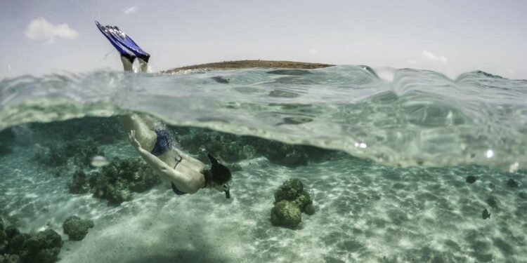 The Best Places to Go Snorkeling in Aruba