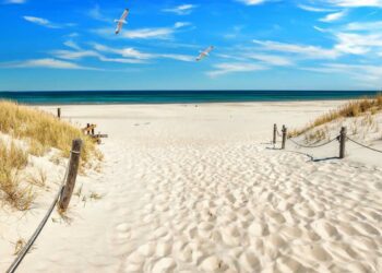 U.S. Beaches Closed Ahead of Holiday Weekend Due to Bacterial Contamination