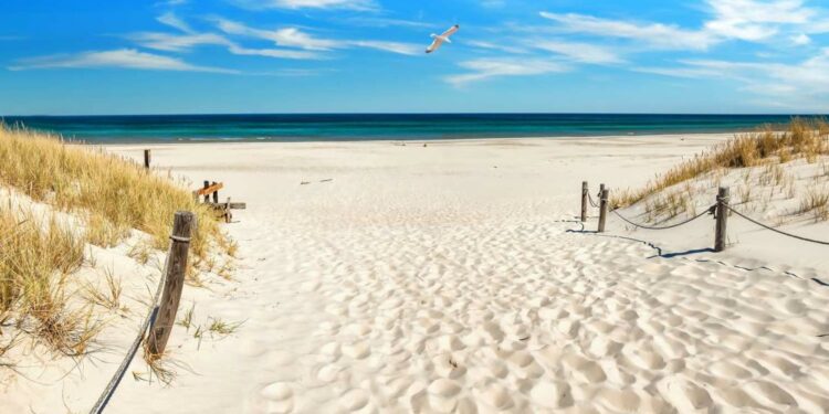 U.S. Beaches Closed Ahead of Holiday Weekend Due to Bacterial Contamination