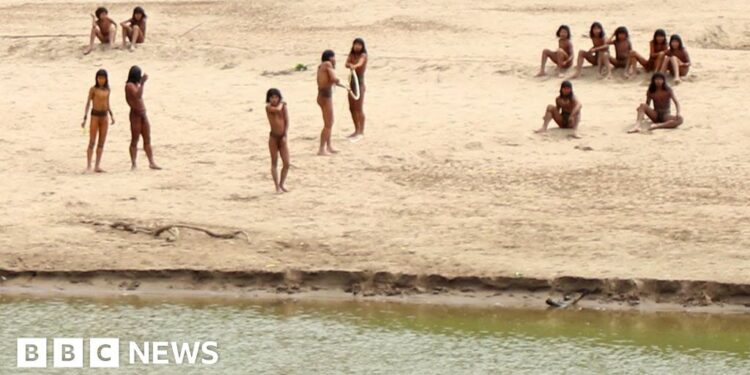 Uncontacted indigenous people sighted near river