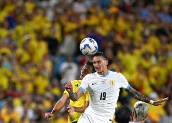 Uruguay players brawl with Colombia fans in stands after Copa loss
