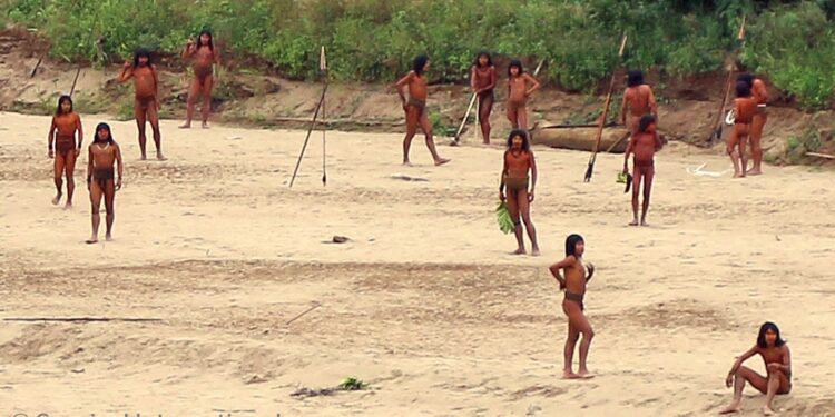 Video shows uncontacted Mashco Piro tribe in Amazon rainforest