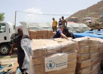WFP Supports People Affected by Hurricane Beryl in the Caribbean