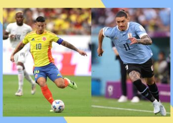 Where to buy, best prices