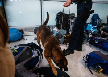 Counterfeit goods, cocaine and doping products, trafficking under close surveillance