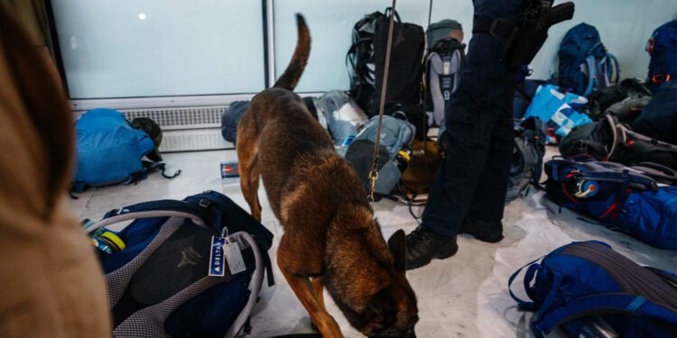 Counterfeit goods, cocaine and doping products, trafficking under close surveillance