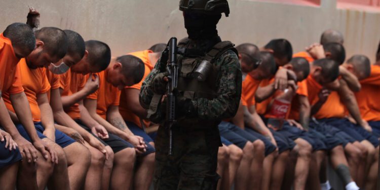 Special Series: Ecuador's War on Gangs