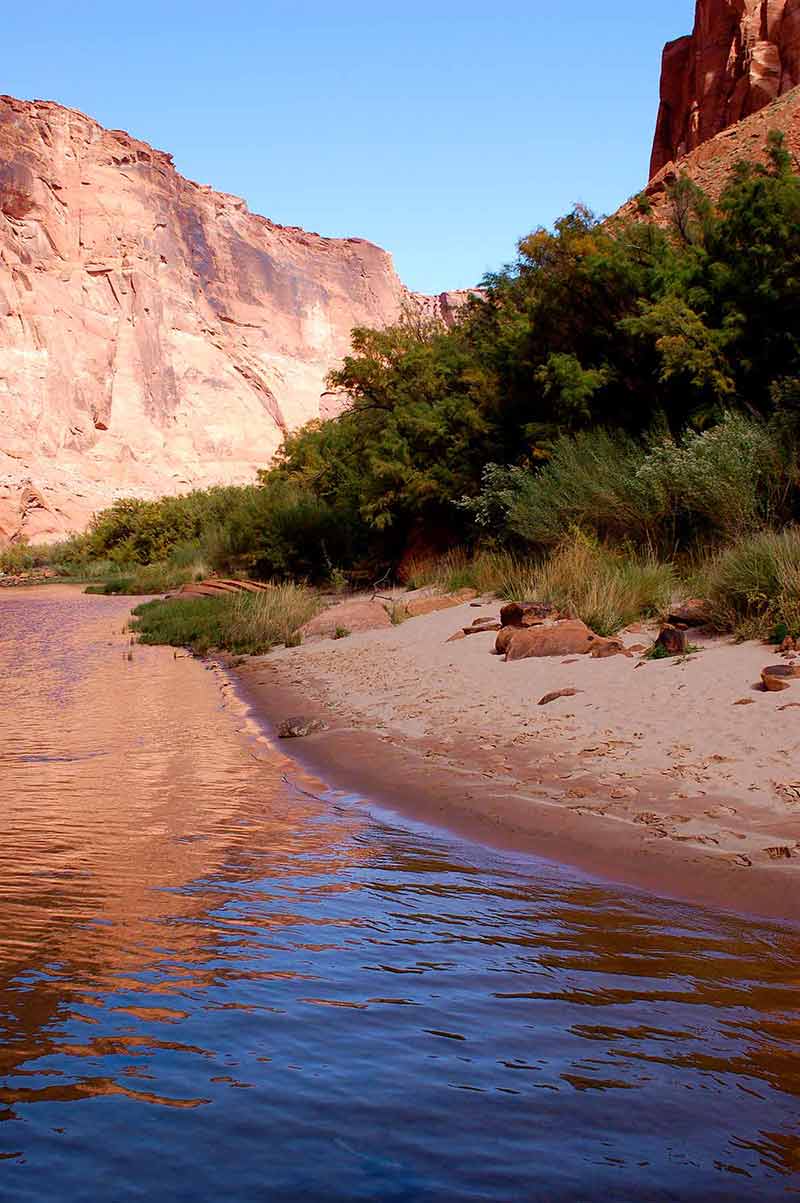are there beaches in arizona a wall of rock on one side and a sandy beach on the other, with green trees breaking up the shot