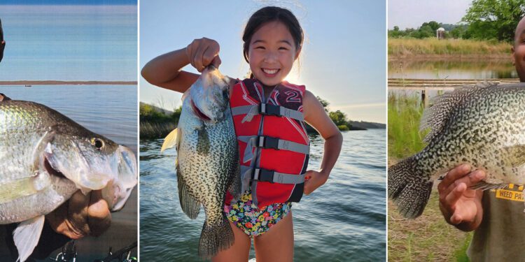 The Biggest Crappies Ever Caught