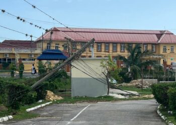 Beryl’s Bite, Jorge’s Balm: FedEx Hero Delivers for Jamaica