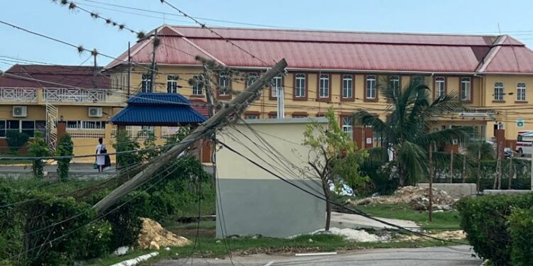 Beryl’s Bite, Jorge’s Balm: FedEx Hero Delivers for Jamaica