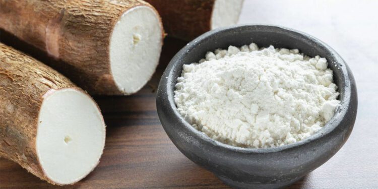 Cassava class at Cayo Levantado Resort offers guests a slice of Dominican life: Travel Weekly