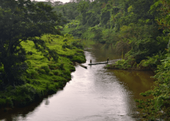 Activists ask for help combatting violence against Nicaragua’s Indigenous communities