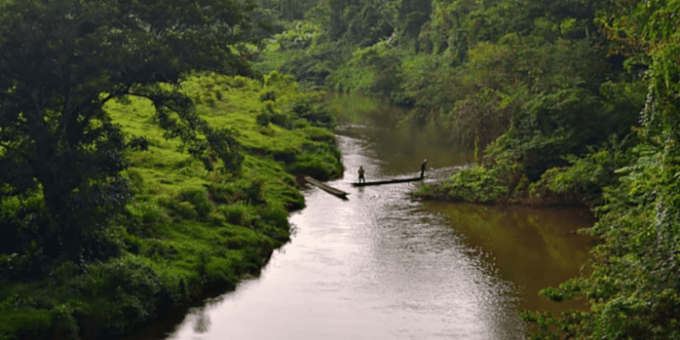 Activists ask for help combatting violence against Nicaragua’s Indigenous communities