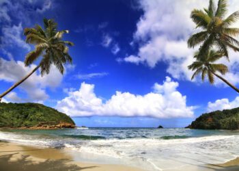 Dominica Travel Guide, News and Information