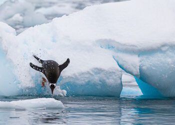 TTG - Cruise - Everything agents selling expedition cruises need to know about