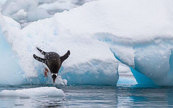 TTG - Cruise - Everything agents selling expedition cruises need to know about